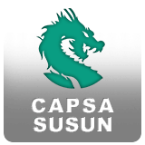 Capsa Susun